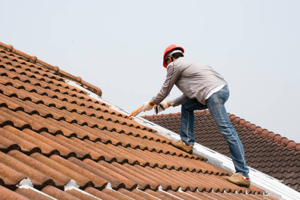 Best Gutter Installation and Repair  in Dahlone, GA
