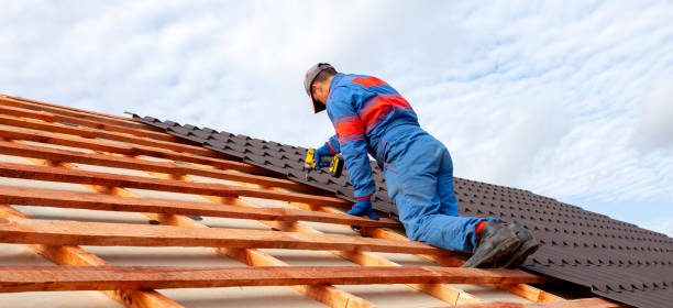 Best Roof Insulation Installation  in Dahlone, GA